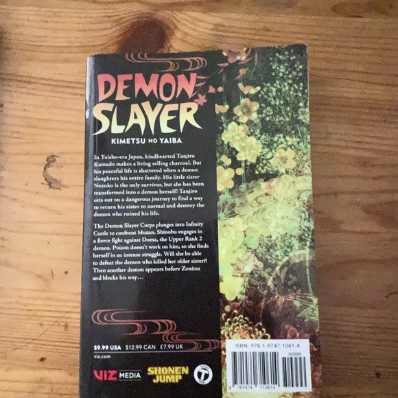 Demon slayer - Picture 2 of 2